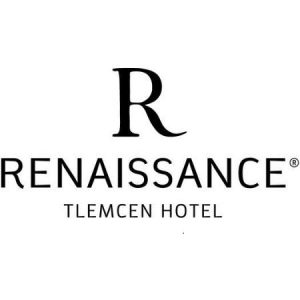 renaissance-t (2)